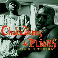 Chaka Demus & Pliers – All She Wrote