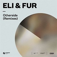 Přední strana obalu CD Otherside (Remixes)