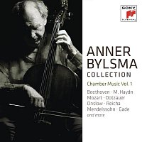 Přední strana obalu CD Anner Bylsma plays Chamber Music Vol. 1