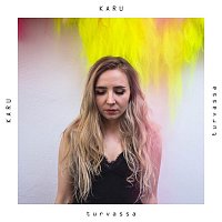 Přední strana obalu CD Turvassa