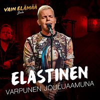 Elastinen – Varpunen jouluaamuna (Vain elamaa joulu)