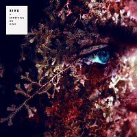 Sivu – Something On High