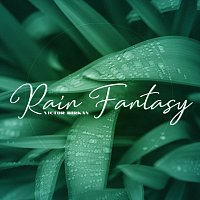Přední strana obalu CD Rain Fantasy