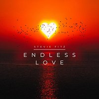 Stevie Fitz – Endless Love