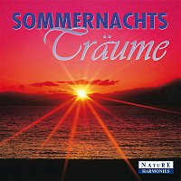 Dave Stern – Sommernachtstraume: Summer Night Dreams