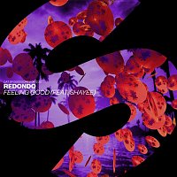 Redondo – Feeling Good (feat. Shayee)