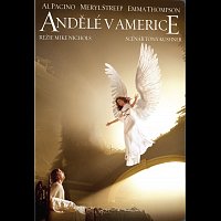 Různí interpreti – Andělé v Americe DVD