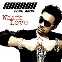 Shaggy, Akon – What's Love (feat. Akon)