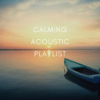 Luke Gaul, Daniel Flowers, Aleko Nunez, Arlo Vega, Dario Solaire, Lucas Silver – Calming Acoustic Playlist