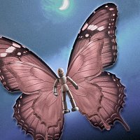 Přední strana obalu CD KIPINEK