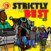 Strictly The Best – Strictly The Best Vol. 45