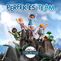 Perfektes Team