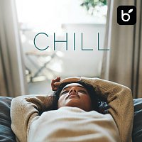 Přední strana obalu CD Chill