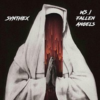 Přední strana obalu CD Ws I Fallen Angels
