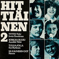 Various  Artists – Hittiainen 2
