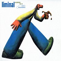 Bluewerks, Sleepdealer – Bluewerks Vol. 16: liminal