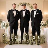 Mr. Rick – Mi napunk (Fernando x BanDj Edit 2025)