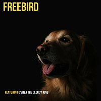 O'shea The Cloudy King – Freebird