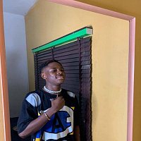 Přední strana obalu CD Pandemic