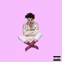 Přední strana obalu CD YUNGBLUD [Unplugged]