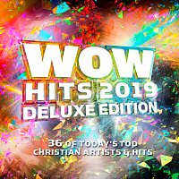 Přední strana obalu CD WOW Hits 2019 [Deluxe Edition]
