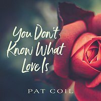 Pat Coil, Danny Gottlieb, Jacob Jezioro – You Don't Know What Love Is