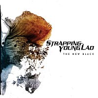 Strapping Young Lad – The New Black
