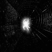 Přední strana obalu CD cold