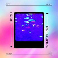 Přední strana obalu CD Neon Something