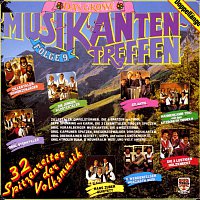 Přední strana obalu CD Das grosze Musikantentreffen - Folge 9