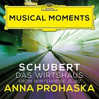 Anna Prohaska, Caspar Frantz – Schubert: Winterreise, D. 911: 21. Das Wirtshaus [Musical Moments]