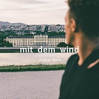 Přední strana obalu CD Mit dem wind