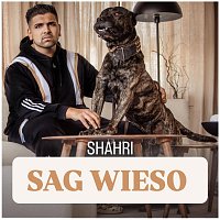 Shahri – Sag Wieso