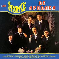 Los  Bronce De Apodaca – Cuando Nos Volvamos A Ver