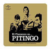Pitingo – Flamenco es... Pitingo