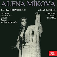 Přední strana obalu CD Alena Míková - portrét sólistky