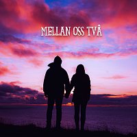 Přední strana obalu CD MELLAN OSS TVA