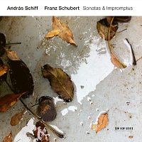 András Schiff – Schubert: 4 Impromptus, Op. 90, D. 899: 3. Andante