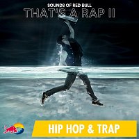 Sounds of Red Bull – That’s a Rap II