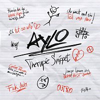 Přední strana obalu CD Therapie - Snippet