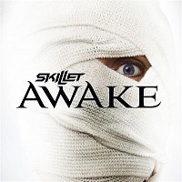 Skillet – Awake