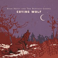 Přední strana obalu CD Crying Wolf
