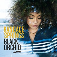 Přední strana obalu CD Black Orchid