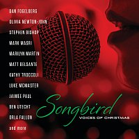 Různí interpreti – Songbird: Voices Of Christmas