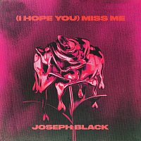 Joseph Black – (i hope you) miss me
