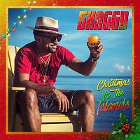 Přední strana obalu CD Christmas in the Islands