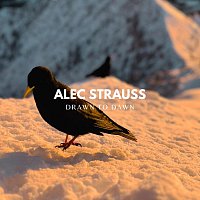 Přední strana obalu CD Drawn to Dawn