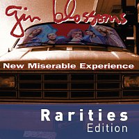 New Miserable Experience [Rarities Edition]
