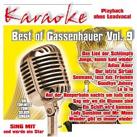 Přední strana obalu CD Best of Gassebhauer Vol. 9