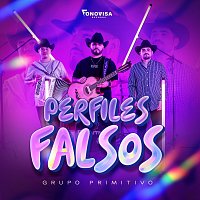 Grupo Primitivo – Perfiles Falsos